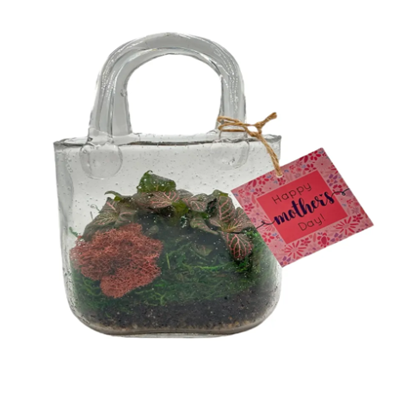 Purse Terrarium